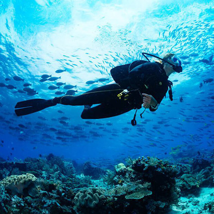 CorpStarter Star Show 2023 Day 4 – Diving Experience At Miami Beach