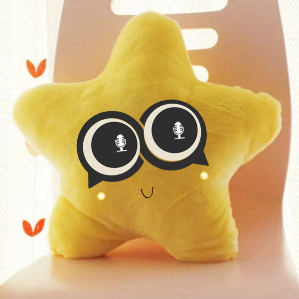 Star Pillow